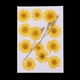 thumbnail image 1 of 12 piezas das hojas secas relleno de muestras de pntas para decoración de uña álbumes de recorte manu BLESIY Flores secas prensadas naturales, 1 of 8
