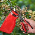 thumbnail image 5 of Garden Pepper Picker Ergonomic Handle with Storage Bag Multipurpose Pepper Scissors Plant Scissors for Fruit Tree Pruning Pears Tomato Beans, 5 of 6