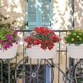 thumbnail image 6 of Hanging Flower Pots for Railing,11 inch Black Plastic Fence Hanging Railing Planter for Outdoor Plants Countryside Style Window Flower Bucket Pots with Detachable Hooks Outdoor Home Decor,3 Pack,Gray, 6 of 7
