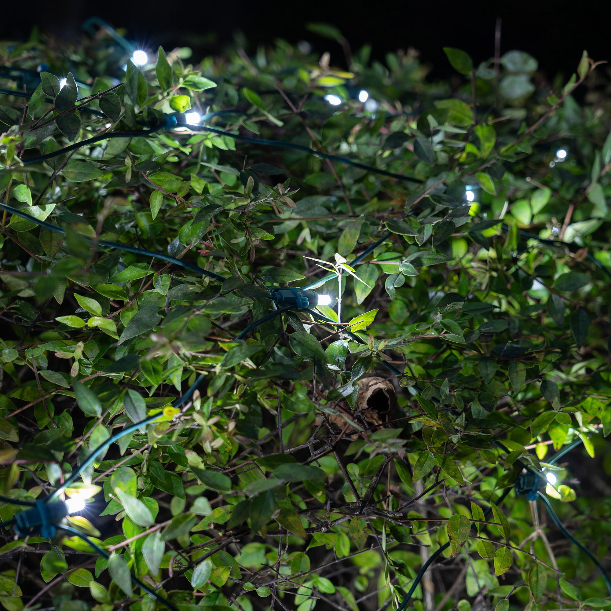 SoftTwinkle 4' x 6' Cool White LED Christmas Net Lights Net Style Mini Lights for Outdoor Party Wedding – Green Wire