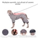 thumbnail image 2 of Ropa para perros ropa para perros de cuatro patas ropa acolchada de algodón para mascotas golden retriever labra ropa de cuello alto para perros medianos y grandes ropa para el hogar, 2 of 6