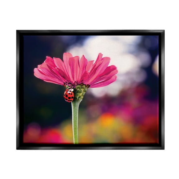 Stupell Industries Ladybug with Pink Flower Animals & Insects Photography Black Floater Framed Art Print Wall Art, 21 x 17