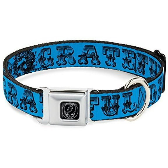 Grateful Dead Pet Collar, Dog Collar Metal Seatbelt Buckle, Grateful Dead Text Skull Roses Turquoise, 15 to 24 Inches 1.0 Inch Wide