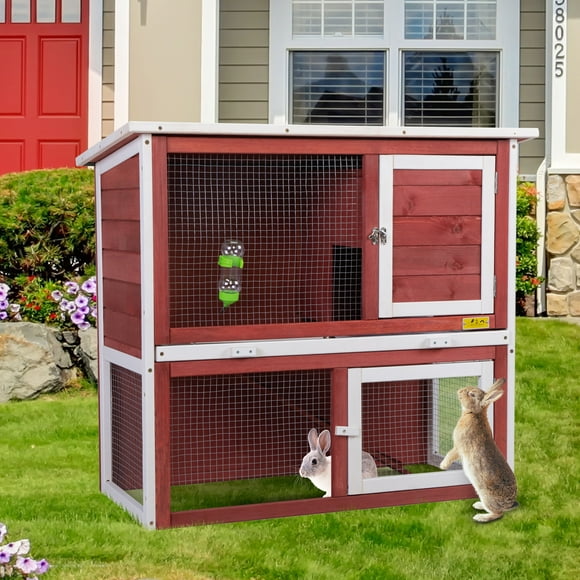 Rabbit Supplies Walmart Canada