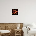 thumbnail image 2 of Stupell Industries Red Poppies Photography Botanical & Floral Photography White Framed Art Print Wall Art, 12 x 12, 2 of 8