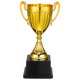 thumbnail image 1 of Trofeo de premios Trofeo de logros personalizado Copa Recompensas Regalo Premio ganador, 1 of 7