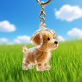 thumbnail image 2 of Dog Hair Collector Keychain Charm Memorial Storage Box, Pet Hair Memorial Keepsake, Transparent Cute Keychain, 2 of 8