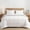 Boho White, variant on Floral Quilt Set Queen Size 3Pcs, Blue & Green Paisley Floral Pattern All Season Lightweight Bedspread Coverlet Sets(Queen 90x96, Paisley Blue)
