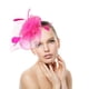 thumbnail image 4 of Accesorio para el cabello con plumas para bodas Tocado de velo de jaula de pájaros de color rojo rosa para novia, 4 of 6