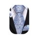 thumbnail image 1 of Juego de corbatas Barry.Wang de seda con flores, 150 cm, color azul cielo, 1 of 7