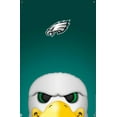 thumbnail image 4 of NFL Philadelphia Eagles - S. Preston Mascot Swoop 20 Wall Poster with Pushpins, 22.375" x 34", 4 of 6