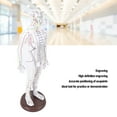 thumbnail image 4 of Acupuncture Model Human Body Model Full Body Acupuncture Practice Tool With Base Acupuncture Model Human Body Acupuncture Model Acupuncture Model With Base Full Body Acupuncture, 4 of 7