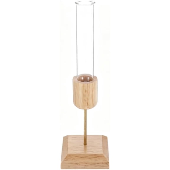 Glass Hydroponic Vase with Wooden Stand for Plant Cuttings, Clear Tube Desk Decor