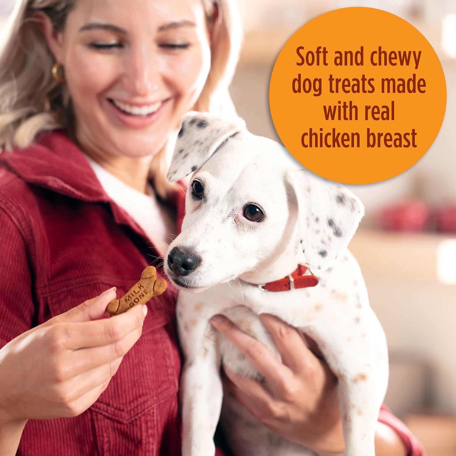 Milk-Bone Soft & Chewy Dog Snacks, Chicken Recipe (37 oz.)