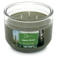 Mainstays 11.5oz 3Wick Jar Candle, Alpine Forest