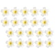 thumbnail image 5 of 24 pinzas para el pelo con flores para fiestas en la playa, pasadores florales, accesorios realistas para el pelo., 5 of 8