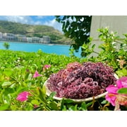 Dried Purple SeaMoss 3oz | Direct ocean to you | Makes 60oz sea moss gel