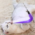thumbnail image 5 of Funny Feather Cat Plush Teaser Wand with Bell Pet Interactive Feather Toys Cat Stick Toy for Kitten Catching Toy Playing Teaser Cat Supplies #462588, 5 of 8