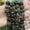 A11, variant on 1 strand natural crystal oval faceted beads – loose gemstone strand for DIY jewelry making, bracelets & necklaces