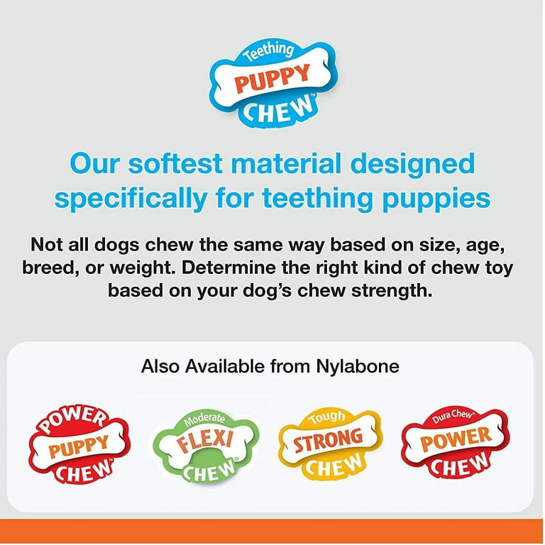 Nylabone pacifier cheap