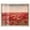 Blonde Frame, variant on Sea of Red Poppies I Shadowbox Print Western Wall Art by Art Remedy, Black Frame, 24 x 20