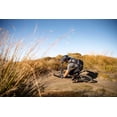 thumbnail image 6 of Camelbak Skyline LR 10 Hydration Pack, 6 of 8