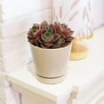 thumbnail image 4 of 4 inch Oatmeal Minimalist Pot with Saucer - Pot for Houseplants and Succulents - Modern Minimalist Pot - Pot with Saucer and Drainage Hole, 4 of 7