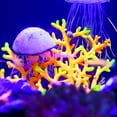 thumbnail image 6 of Unique Bargains Soft Silicone Aquarium Simulation Coral Fluorescence Floating Aquatic Artificial Plant Decoration Green, 6 of 6