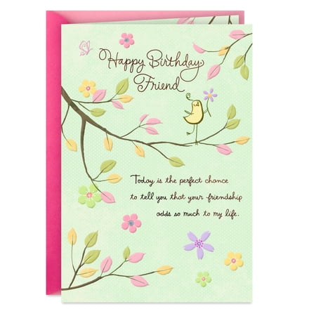 Hallmark Birthday Card for Friend (You Bring So Much Happiness)