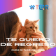 thumbnail image 3 of TQR BY FAKIRGEEK Placa DE IDENTIFICACIÓN Inteligente para Mascotas QR para Gato- GATO Etiqueta DE IDENTIFICACIÓN Accesorios Dije para Collar DE MASCOTA (BLANCO), 3 of 9