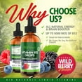 thumbnail image 6 of Bio Naturals Vitamin B12 Liquid Drops for Adults & Kids - 100% Natural Sublingual Methylcobalamin - Highest Absorption - Energy & Brain Booster Helps with Fatigue & Weakness - Wild Berry - 2 fl oz, 6 of 7