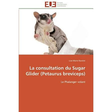 La Consultation Du Sugar Glider (Petaurus