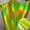 Green, variant on PU Leather Fabric Holographic, A4, 1pc