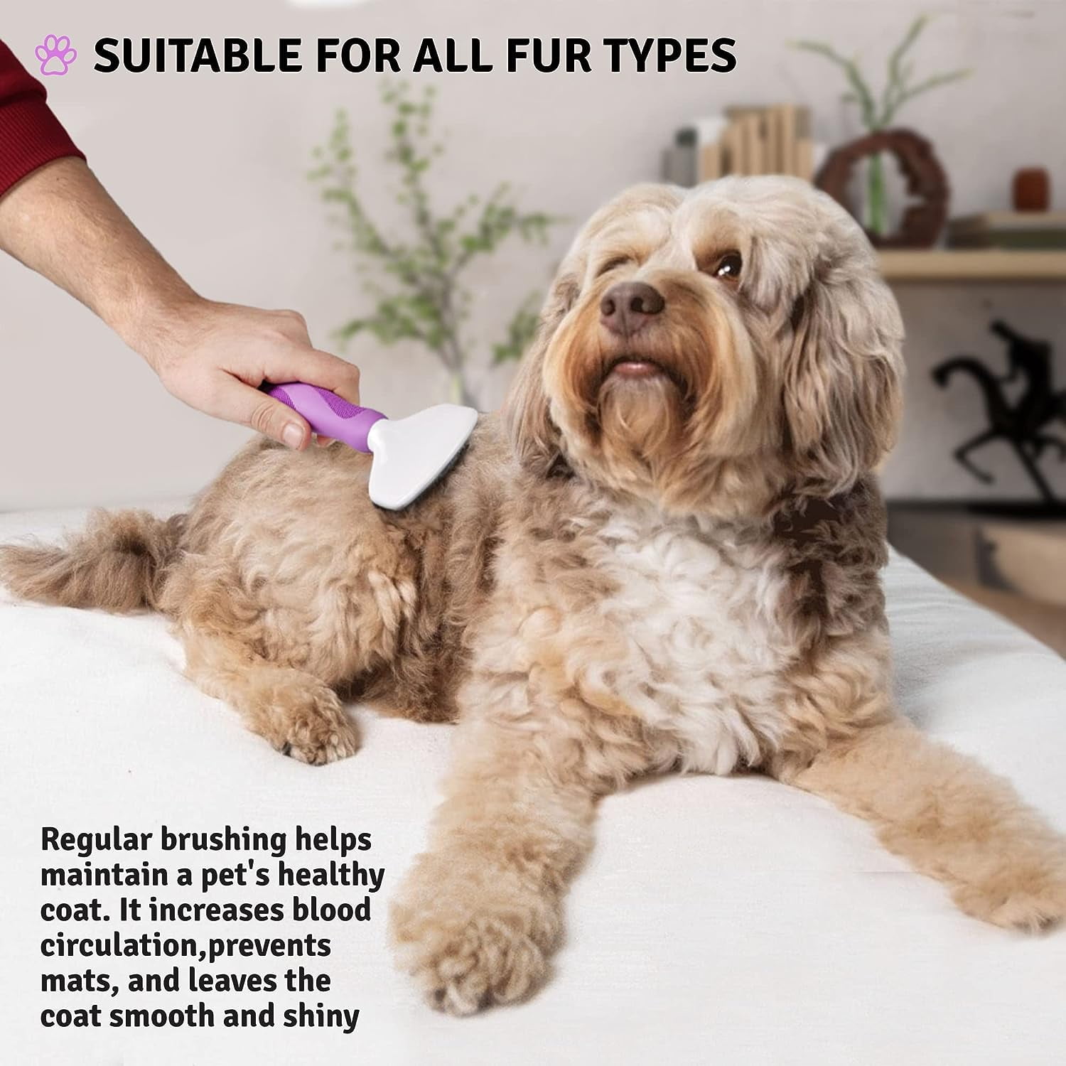 Maltipoo Brush We Love Doodles Dog Slicker Brush For Grooming Dog Kit
