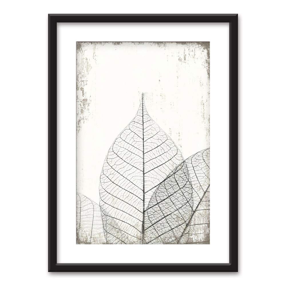 wall26 - Framed Wall Art - Black White Leaf Vein Pattern Vintage ...