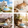thumbnail image 2 of Dog Lick Ball,Licking A Ball Add More Fun Bowl, Dog Lick Ball Bowl,Licking A Ball for Dogs,Slow Down Eating Speed and Add More Fun for Your Dog and Cats, 2 of 9