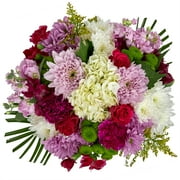 Image medium_image