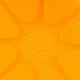 thumbnail image 3 of Pack of 5 round 8-way beehives for beekeeping, 3 of 4