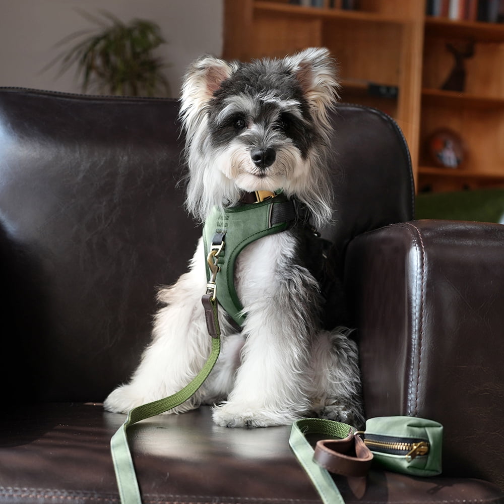 Pet Artist Vintage Dog Harness No Pull Dog Vest Harness with Easy Control Handle, PU Leather,Breathable Padded Dog Chest Harness Adjustable for Small Dogs,Green,S