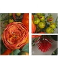 thumbnail image 2 of NICKSUN Fall Peony and Pumpkin Wreath Year Round, Durable Autumn Wreath with Maple Leaf Berry, Farmhouse Wreath for Front Door, Pumpkin Wreath Festival Home Decor(19.69 * 19.69in), 2 of 7