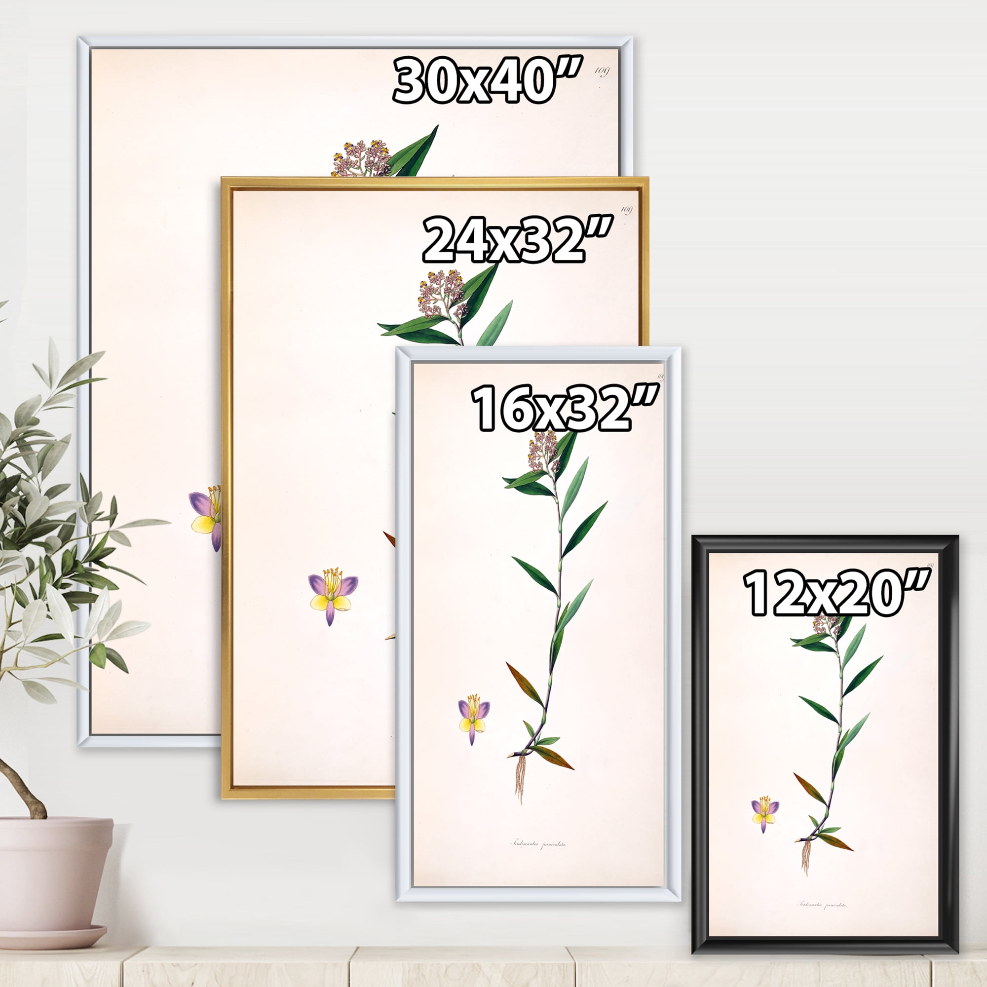 Designart 'Ancient Botanicals XIX' Farmhouse Framed Canvas Wall Art Print