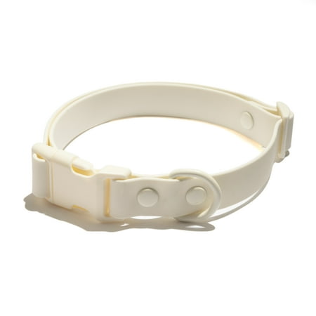 Vibrant Life Dog Collars, Water and Dirt Resistant Fashion Pet Collar, Cream, Large