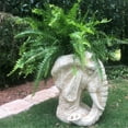 thumbnail image 3 of Homestyles Antique White Elephant Muggly Mascot Animal Statue Planter Pot, 3 of 4