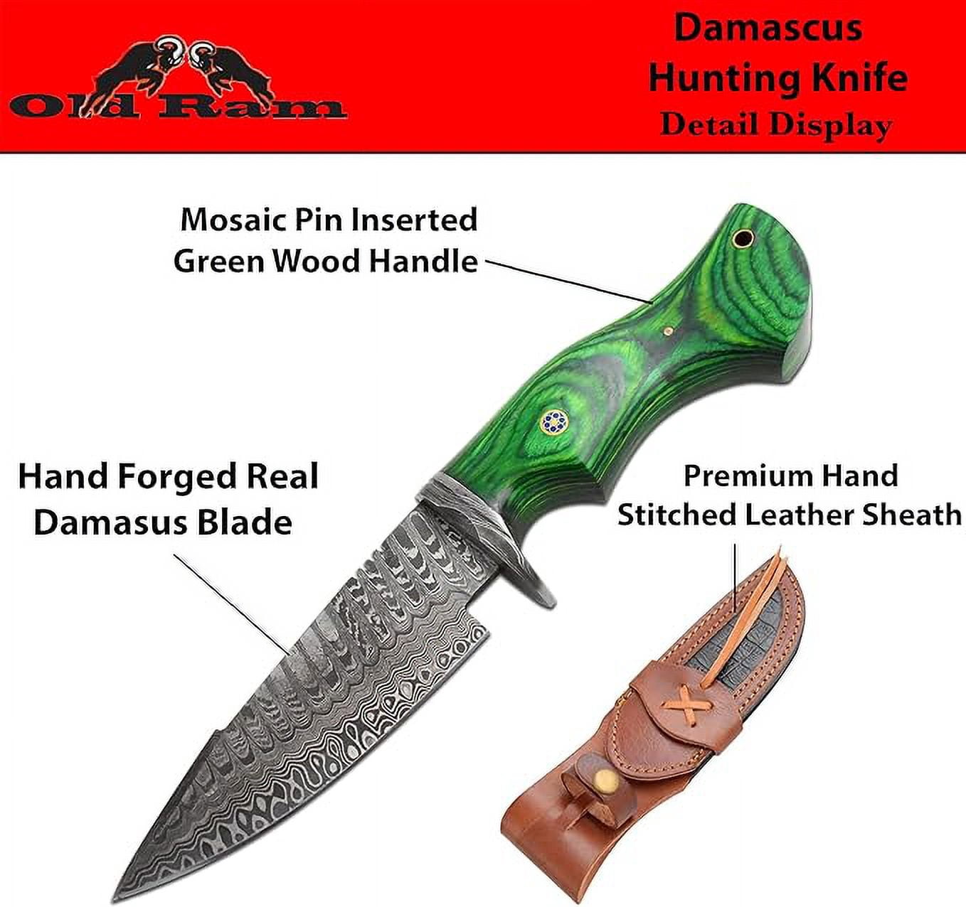 Old Ram Damascus Buck Knife with Sheath - 6" Drop Point Hunting Knife with Leather Sheath (Green Wood)