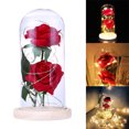 thumbnail image 2 of CAROOTU LED Rose Flower Decor Battery Powered String Light Desk Lamp Romantic Valentine's Day Gift, 2 of 7