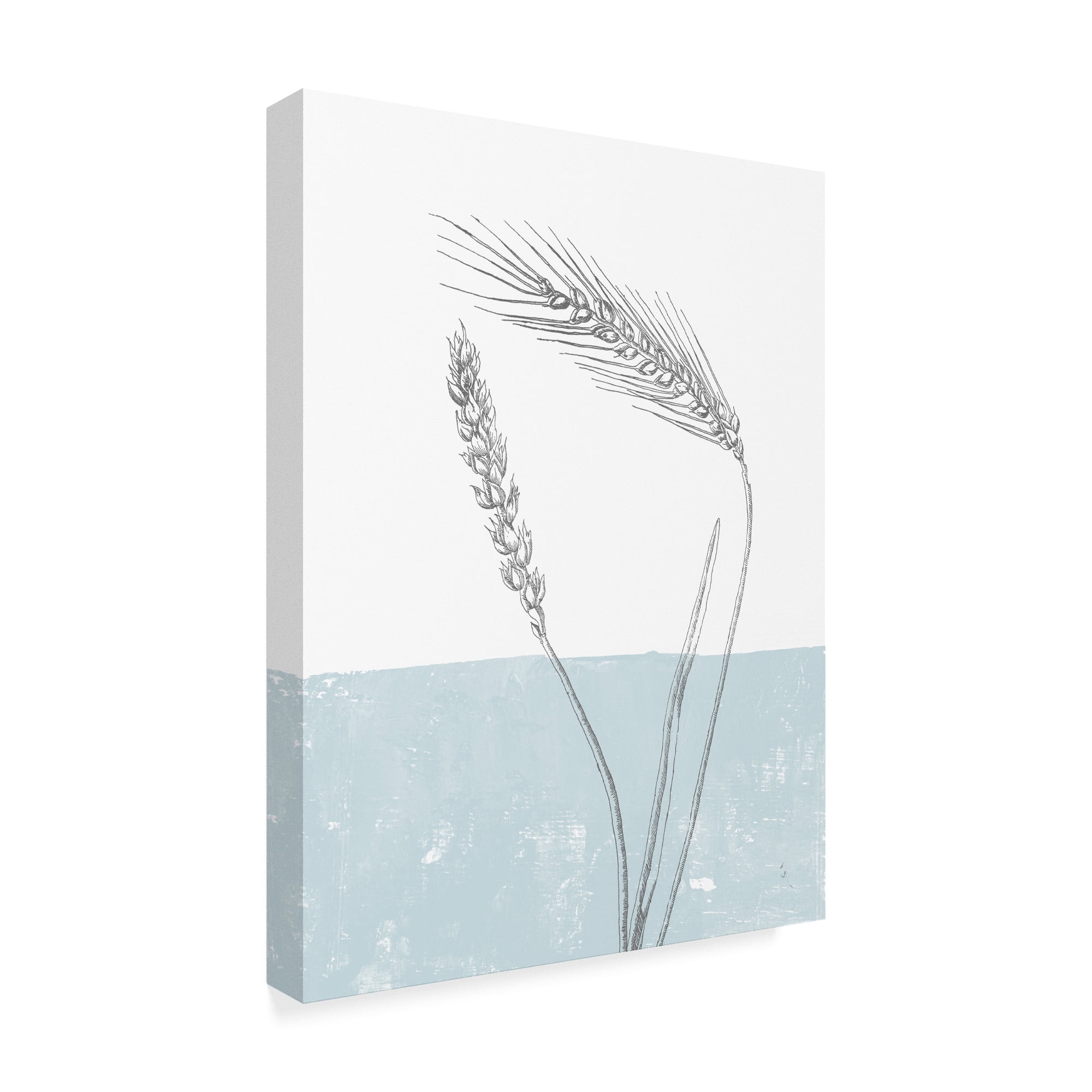 Trademark Fine Art 'Wheat' Canvas Art by Sarah Adams
