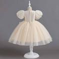 thumbnail image 4 of YWDJ Children Baby Girls Middle-aged Childrens Sleeveless Embroidery Mesh Dress Gauze Dress Princess Dress Beige 2-3T, 4 of 9