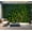 Color1, variant on Peel and Stick Wallpaper Green forest Modern Art Wall Mural Decor Self Adhesive and Removable 69in x 98in