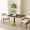 Blue+Gold, variant on 31.5 Inch Round Tulip Dining Table, Sintered Stone Faux Marble Tabletop, Stainless Steel Pedestal Base, Scratchproof Waterproof Table for Indoor Outdoor