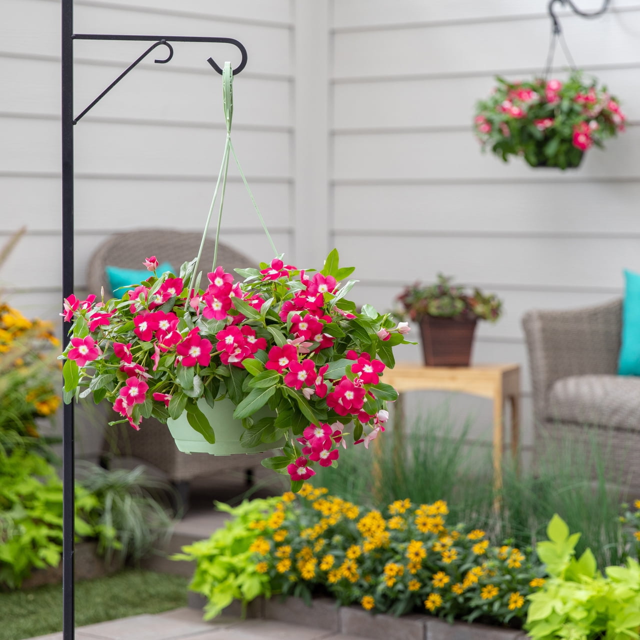 Expert Gardener 1.5gal Red Vinca Live Annual Plant Hanging Basket Sun -  Walmart.com